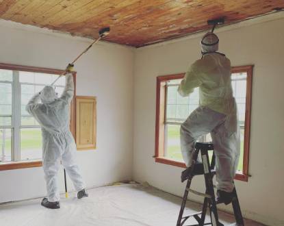 <p style="font-family: 'Poppins', sans-serif; font-weight: 700; font-size:24px;">MOLD REMOVAL</p>